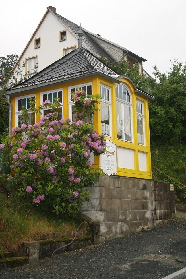 Pension Fürstenhof Bad Elster Exterior foto